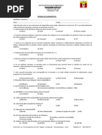 Prueba Diagnostico