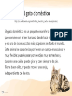 53 56 El Gato Domestico