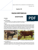 7B 08 Capitulo VIII Razas Britanicas