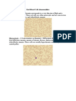 Red Blood Cell Abnormalities