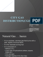 City Gas Distribution (CGD) : Mayank Sharma & Team School of Petroleum Management, PDPU India