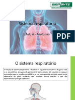 Aula 6 - Sistema Respiratório