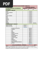 Proyecto de Economia Domestica