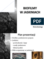 PREZENTACJA Biofilmy W Jaskiniach