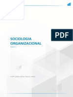 Sociologia ORGANIZACIONAL AULA 1