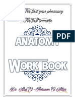 Anatomy Work Book