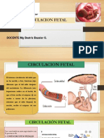 Circulacion Fetal y Neonatal 2019