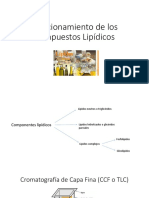 Fraccionamiento de Los Compuestos Lipídicos 10