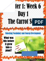 The Carrot Seed