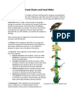 Food Chains and Food Webs DF