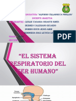 Sistema Respiratorio