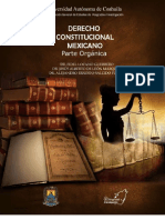 2013derechoconstitucional PDF