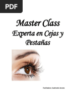 Guia Master Class Experta en Cejas y Pestañas