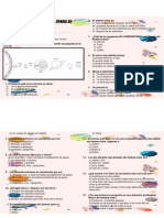 Demuestro Lo Aprendido Sobre El Sistema Planetario Solar