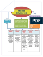 Mapa Conceptual Proceso Inflamatorio