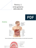 Pemicu 1 Blok GIT Sinta