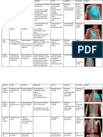 Músculos Del Tórax