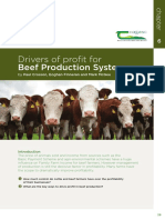 Beef Manual Section2 PDF