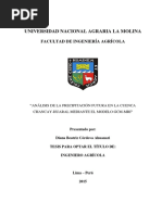 Cuenca Chancay PDF