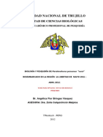 Bringas Vásquez, A PDF