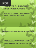 TRANSPLANTING