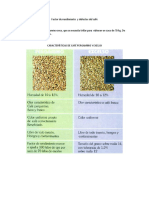 Factor de Rendimiento y Defectos Del Café