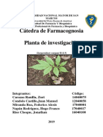 Monografia Proyecto Farmacognosia Ii