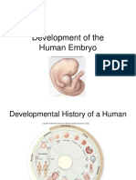 Embryology (MO)