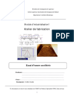 TP2 Industriallisation PDF