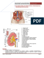 Aula 8 - Função Renal Métodos Dialiticos