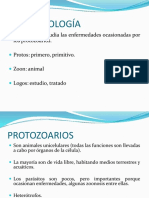 Babesiosis y Anaplasmosis