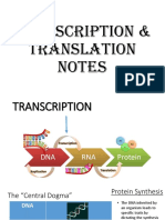 Transcription & Translation Notes PDF