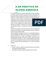 Guía de Práctica de Micología Agrícola