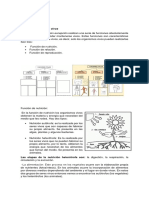 Modulo Grado Sexto