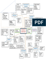 Mapa Conceptual El Proceso de Adaptación o Interacción A La Escuela.