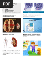 Enfermedades Del Sistema Urinario