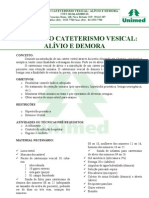 Protocolo Cateterismo Vesical Alívio e Demora