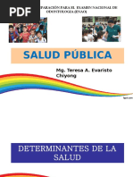 Salud Pública - Investigación