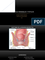 Abscesos Perianales y Fistulas 