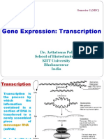 Transcription (Semister I MIC)