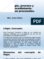 Litigio, Proceso y Procedimiento