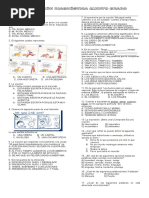 Evaluacion Diagnostica Quinto Grado