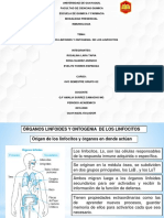 Expo Inmuno Teoria