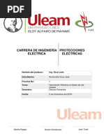 Practica 1 - Protecciones Electricas (1) - 20191126 - 082313778