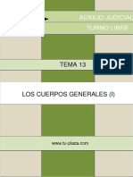 Tema-13-Los Cuerpos Generales (I) PDF