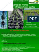 Mejoramiento de Vivero Forestales y Produccion de Plantas Vivero