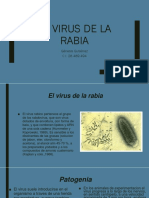 Presentación El Virus de La Rabia