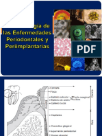 Microbiología de La Enfermedad Periodontal y Periimplantaria