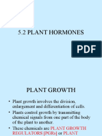 Plant Growth