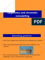 Epigenetics and Chromatin Remodelling